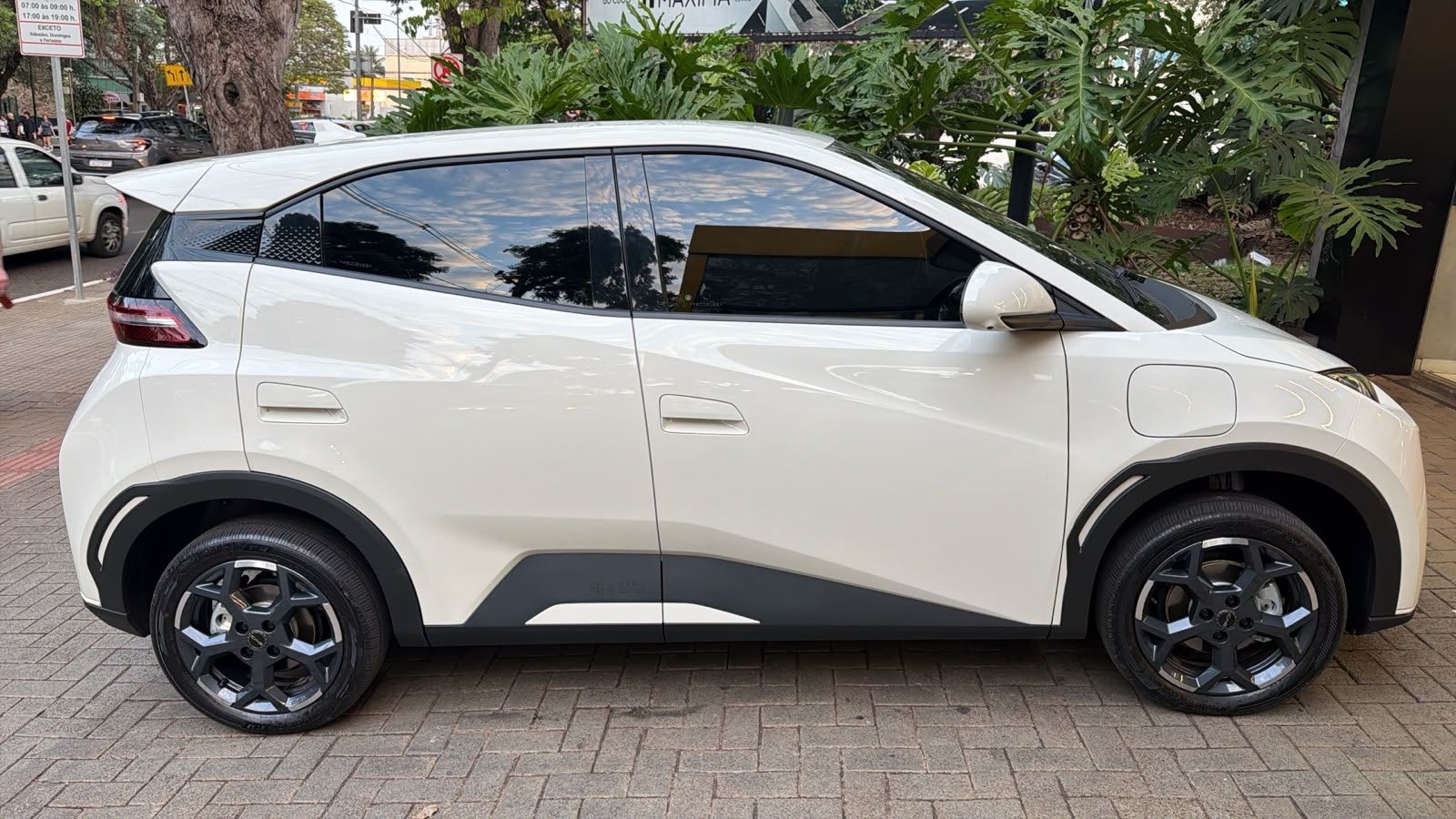 DOLPHIN Mini Gs5ev — frente